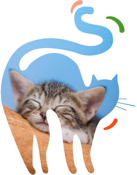 Garderie d’animaux de compagnie Looping & Oups